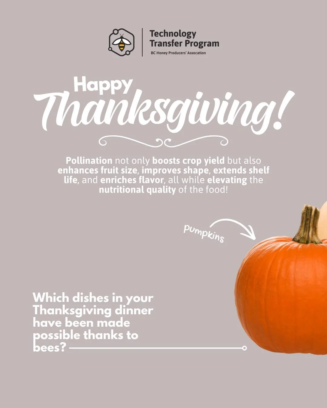 The BC-TTP wishes you a Happy Thanksgiving! 🍂🦃 Which dishes in your Thanksgiving dinner have been made possible thanks to bees? Swipe to see just a few examples.