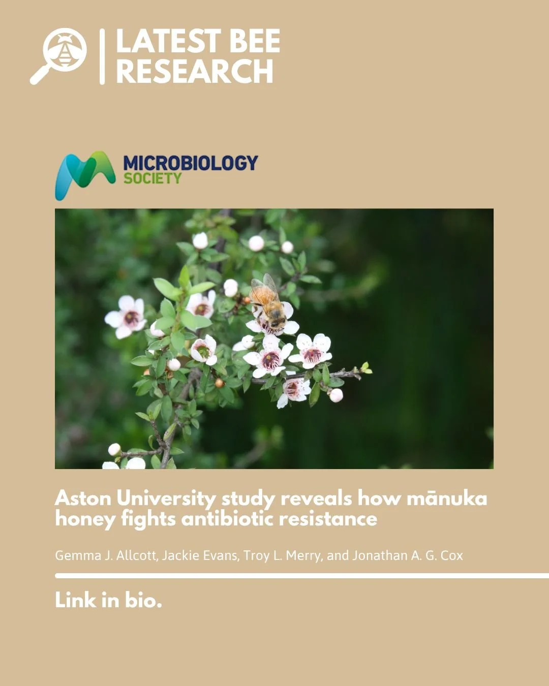 Mānuka honey is made from the mānuka flower which is native to New Zealand and southeast Australia. It's well known because of its antibacterial, anti-inflammatory, and wound-healing benefits due to its unique properties.

Aston University recently r