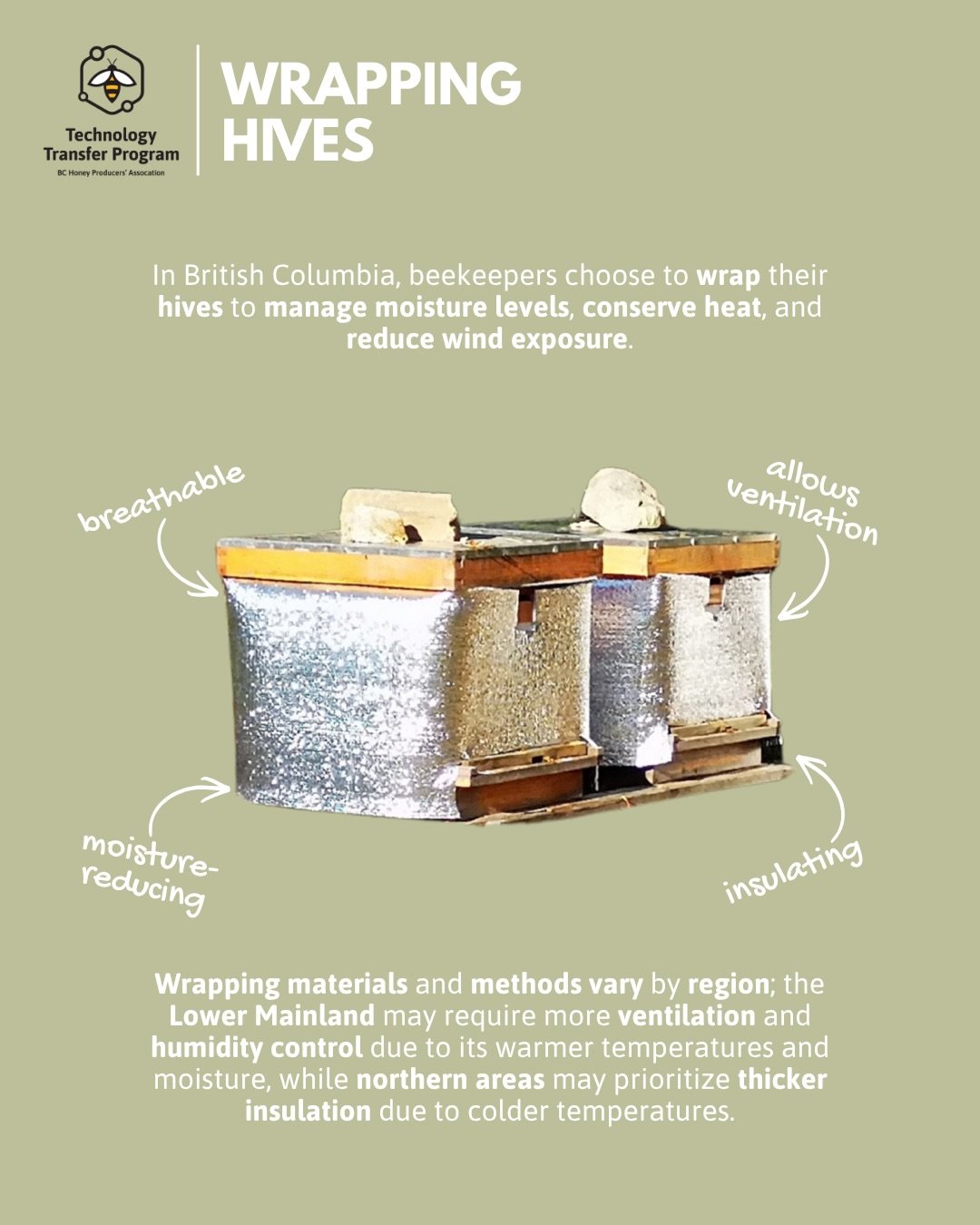By the late fall, many beekeepers in BC will wrap their hives in an effort to manage moisture levels, conserve heat, and reduce wind exposure. Additionally, they may include overhead insulation to their hives. This is a form of insulation (for exampl