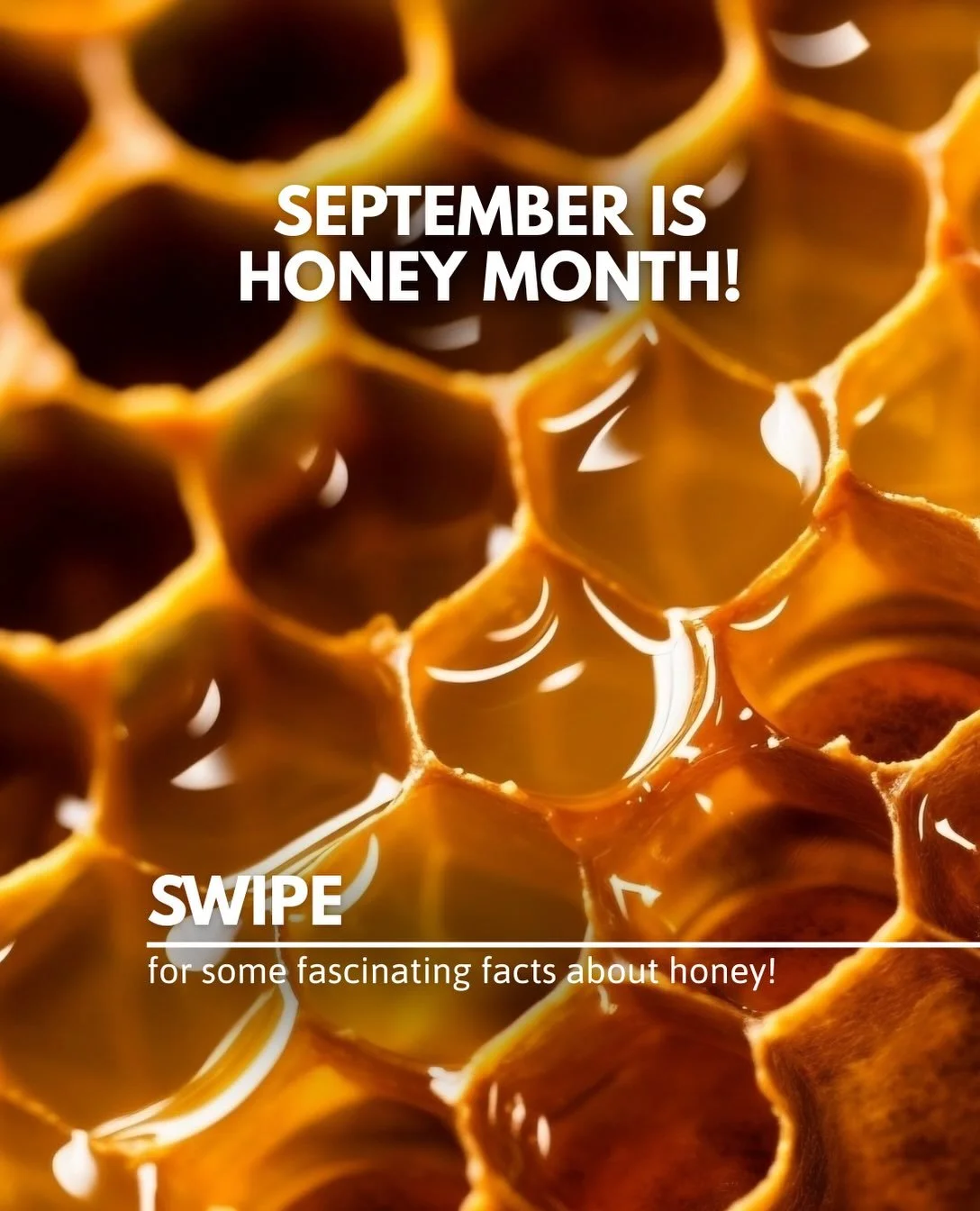 September is honey month! Show your support by buying local honey 🍯 

🐝

References:
Canadian Food Inspection Agency. (2026, July 20). Food fraud annual report 2024 to 2025. Government of Canada. https://inspection.canada.ca/en/about-cfia/science-a