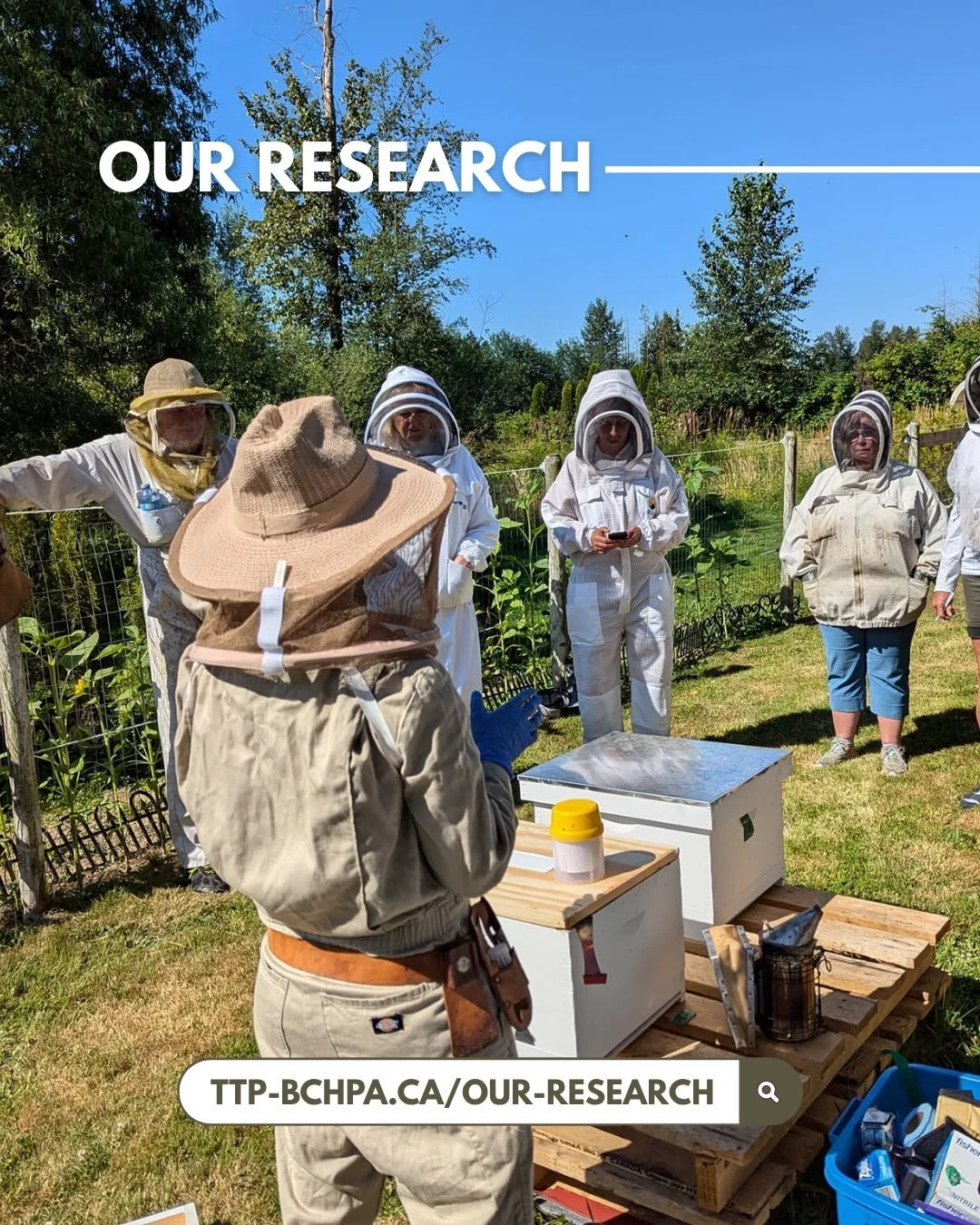 Learn more about our current and past research projects by visiting our updated page on our website.

Click the link in our bio or visit ttp-bchpa.ca/our-research.