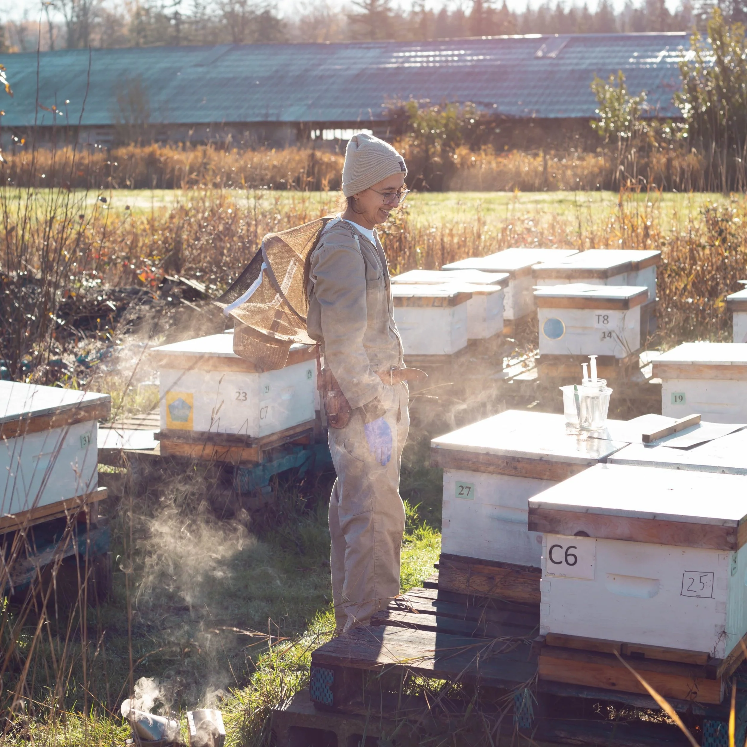 beginner beekeeper with hives