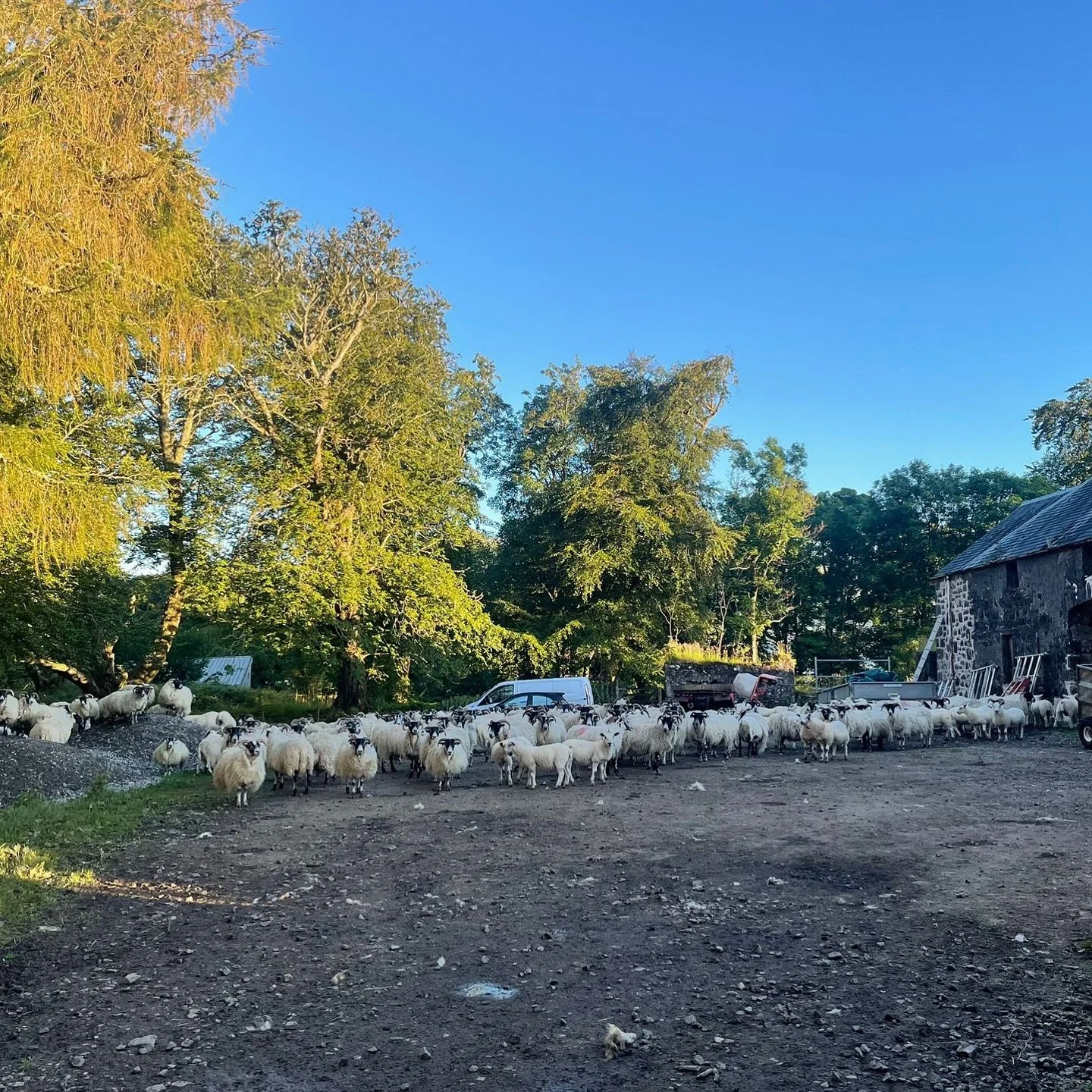Was such a lovely experience going back to the same place, @ardtornishestate that inspired my final year project and where I had sourced my wool from. It was just last year where my project idea clicked when looking at the beautiful landscapes and co