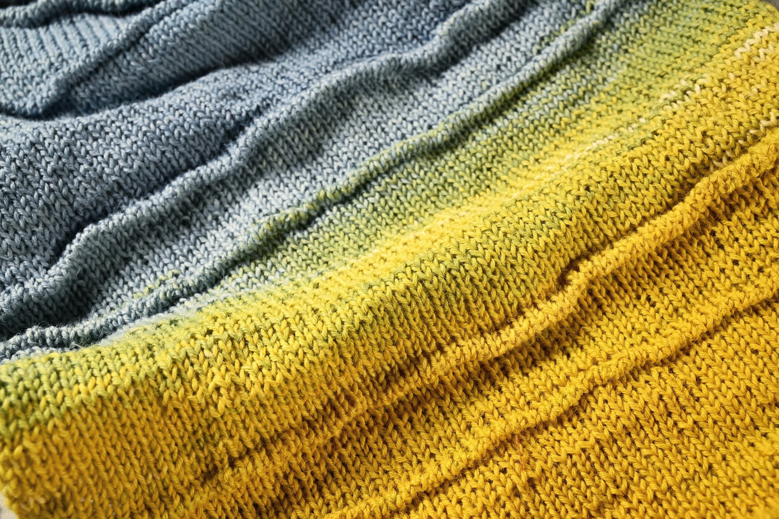 FBD7F81F-3DD4-4165-AA7B-2BB3F7BC9843 5.JPG