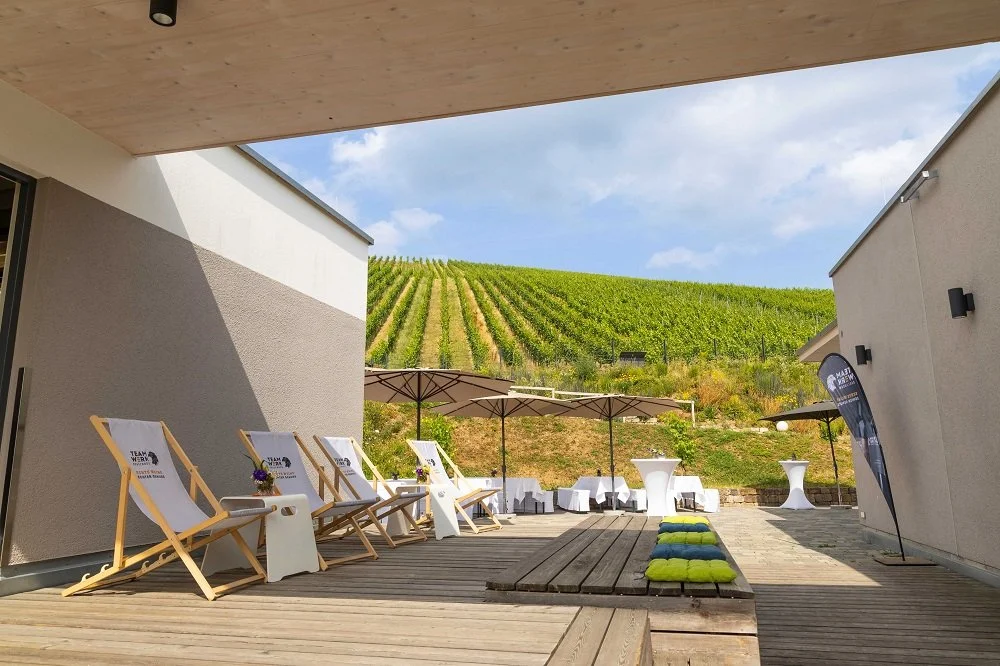 Teamwerk-Esslingen_Dachterrasse.jpg