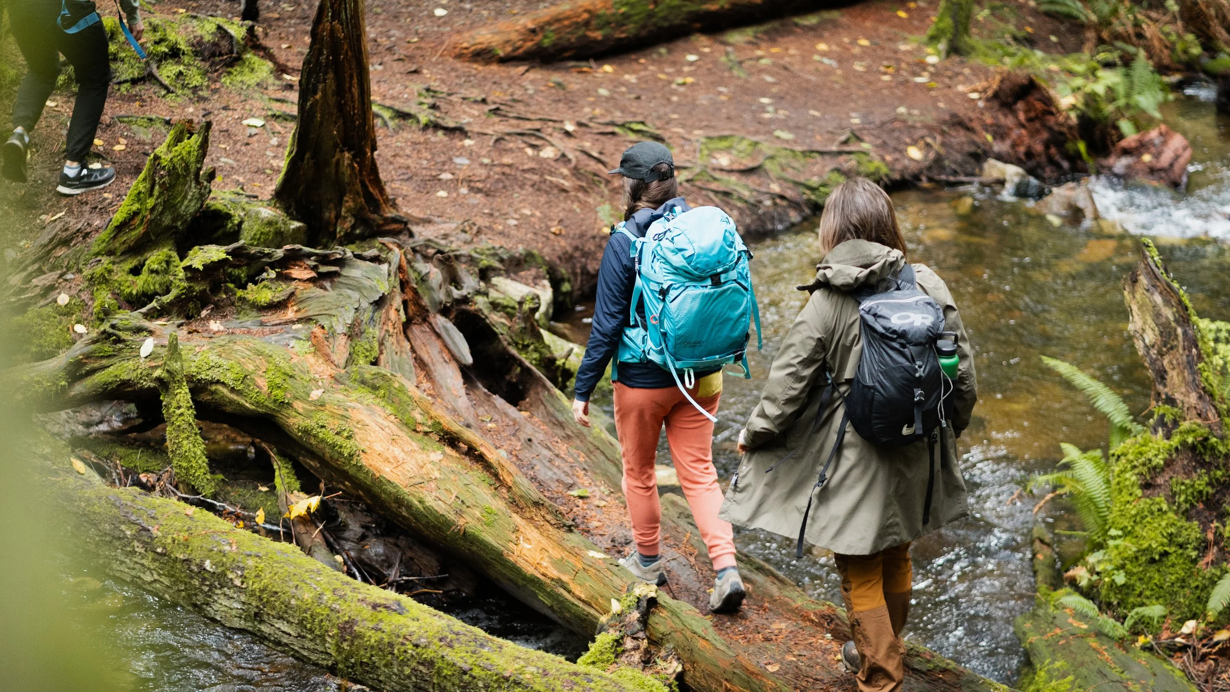 Two hikers with backpacks crossing a moss-covered fallen log over a shallow stream in a lush forest.