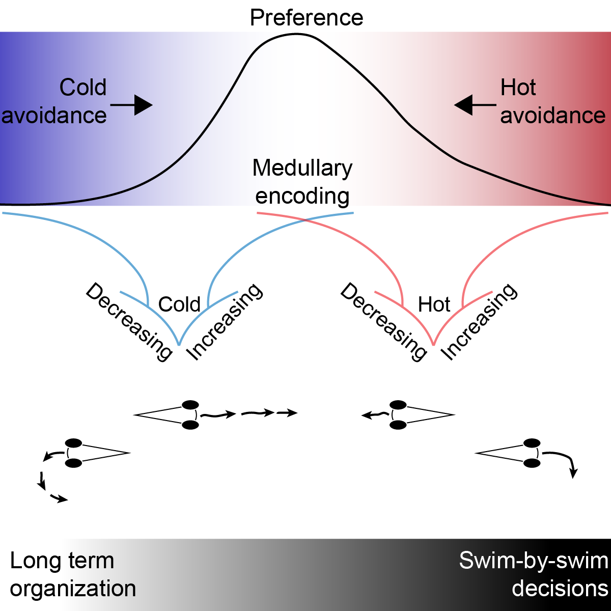 Schematic of temperature navigation strategies