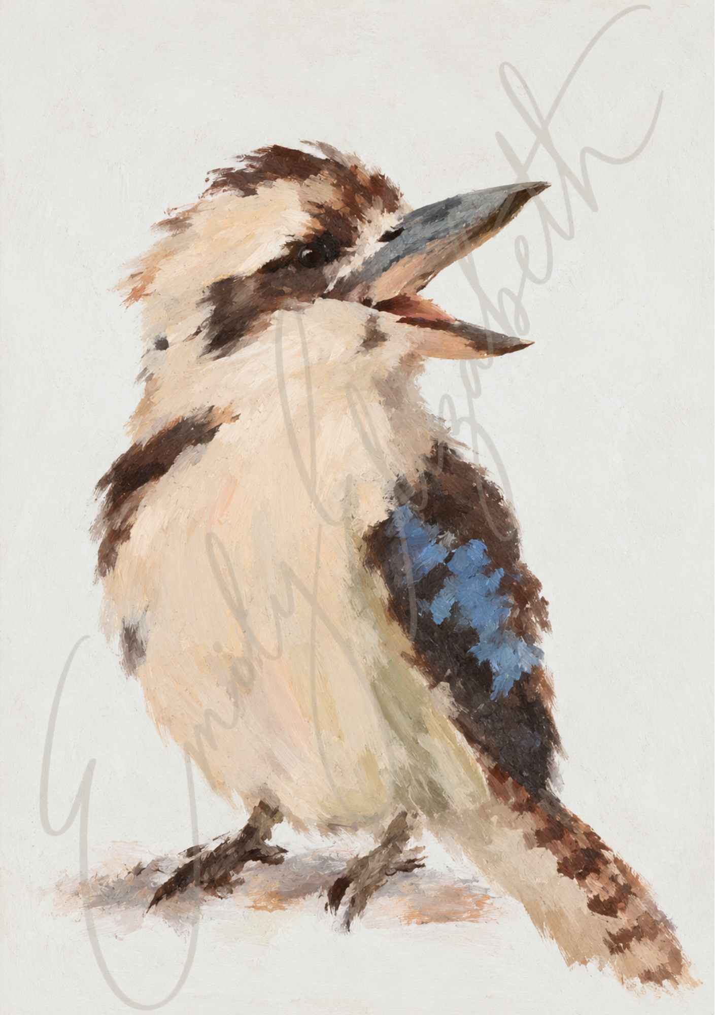 Kookaburra