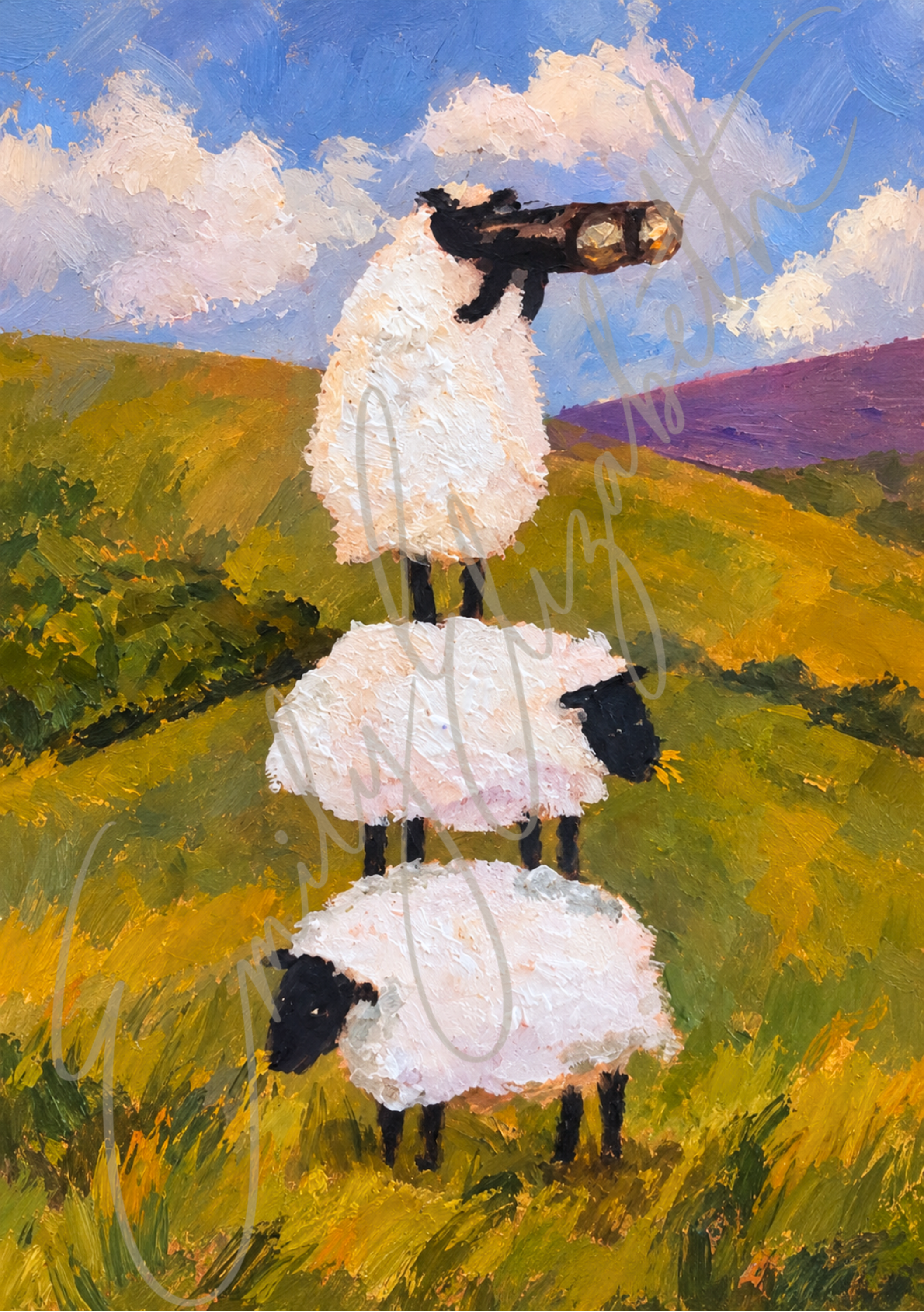 The Woolly Lookout