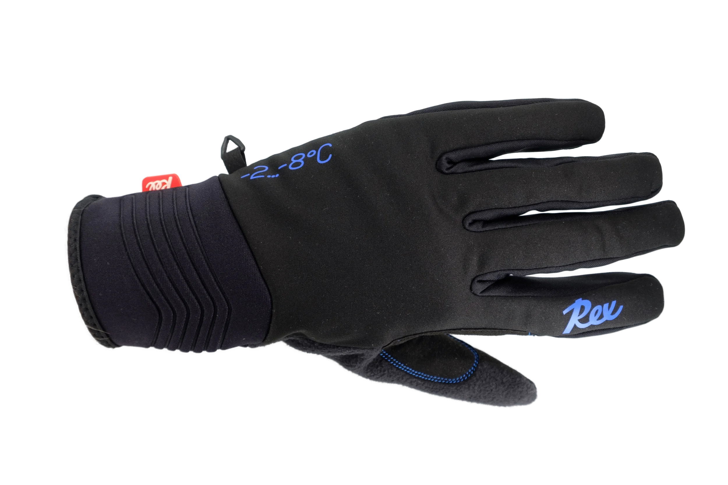 Blue Ski Glove