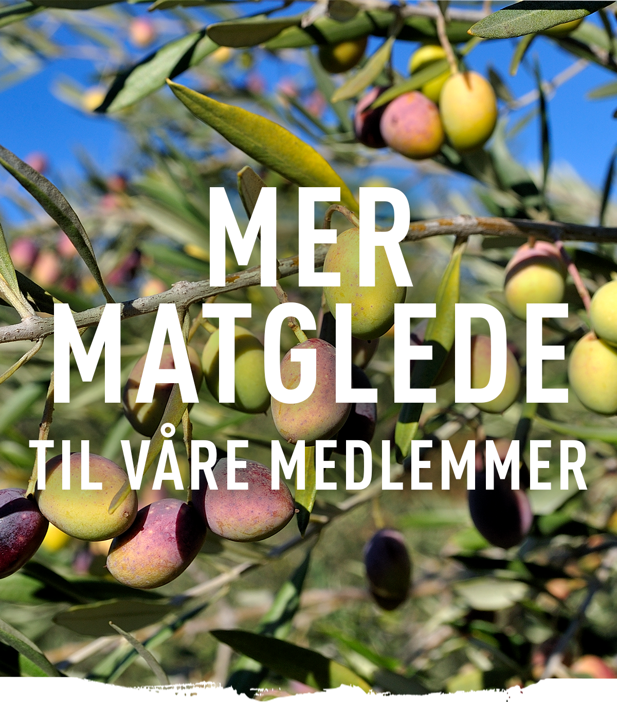 medlemmer.png