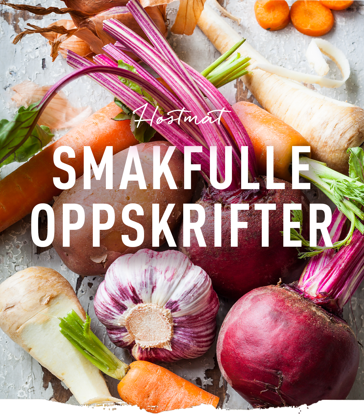 NL_UKE38_HERO_HØSTENSOPPSKRIFTER.png