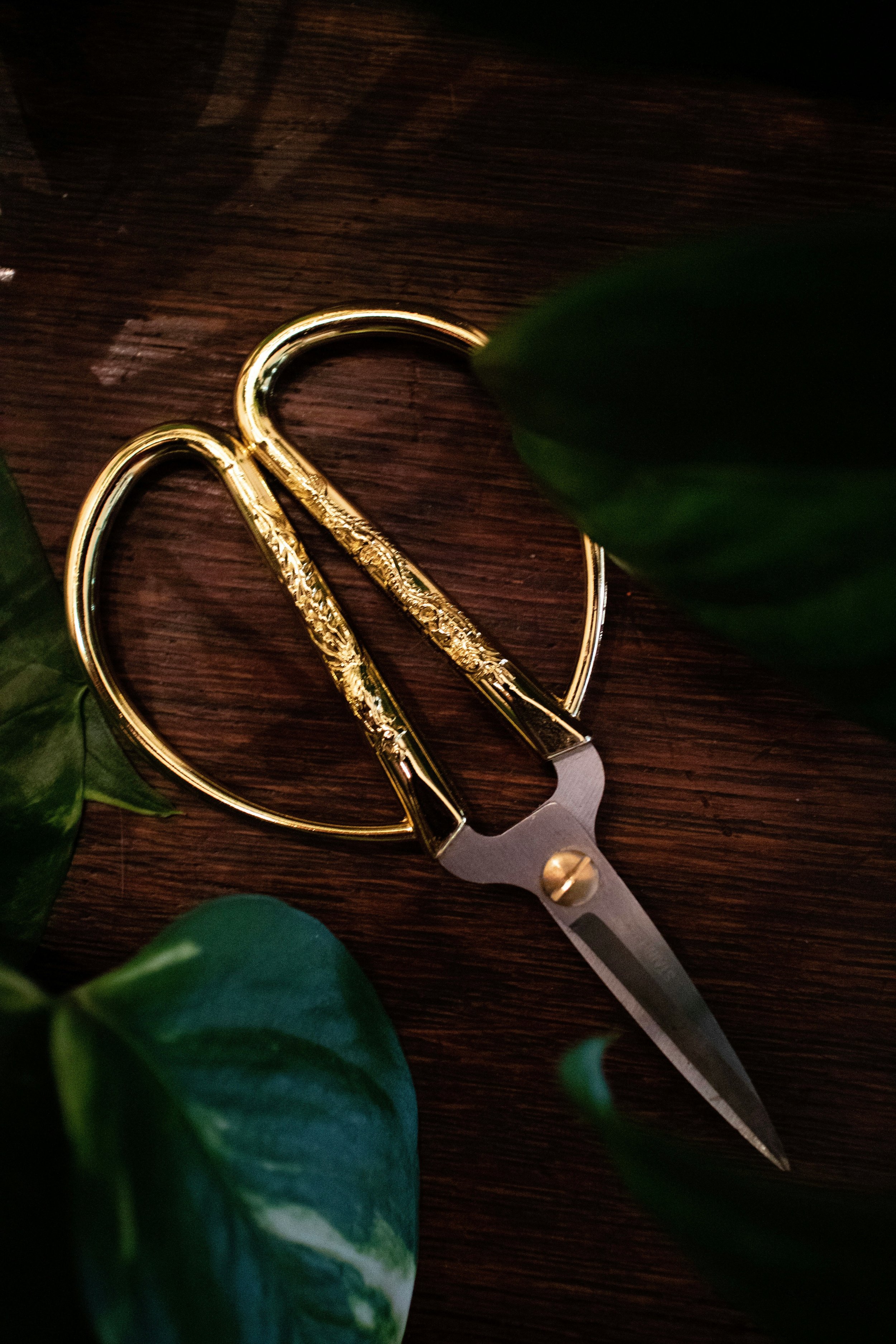 scissors.jpeg