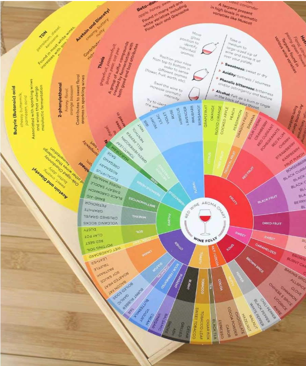 Wine Aroma Wheel