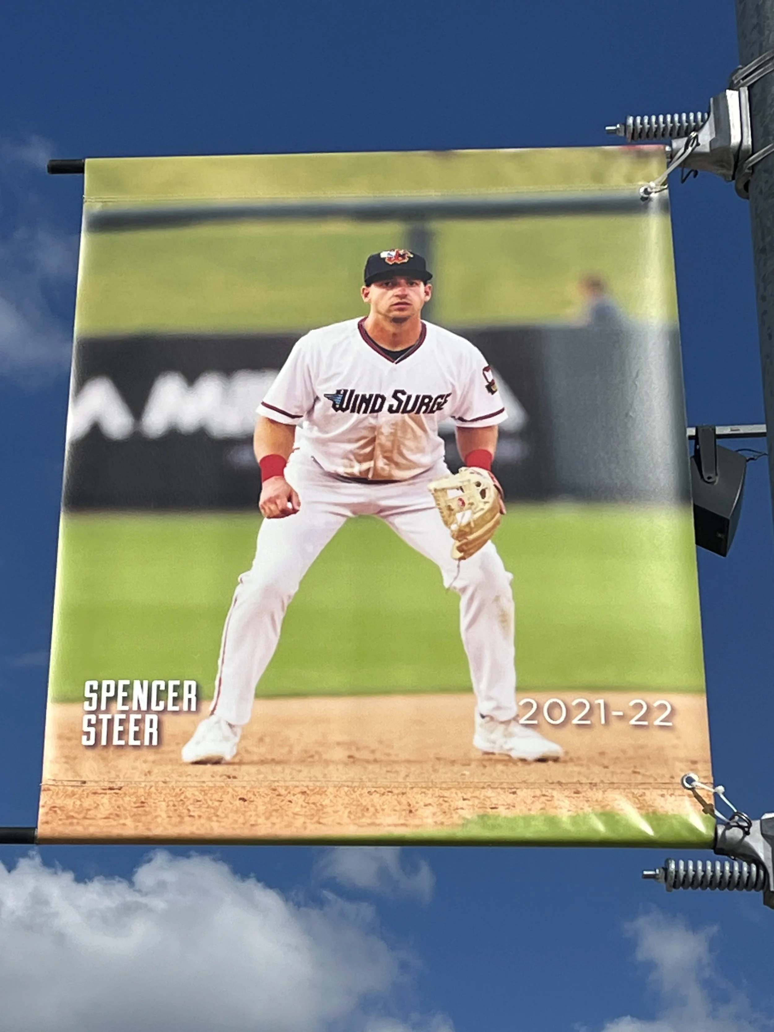 Banner - Steer 2.JPG