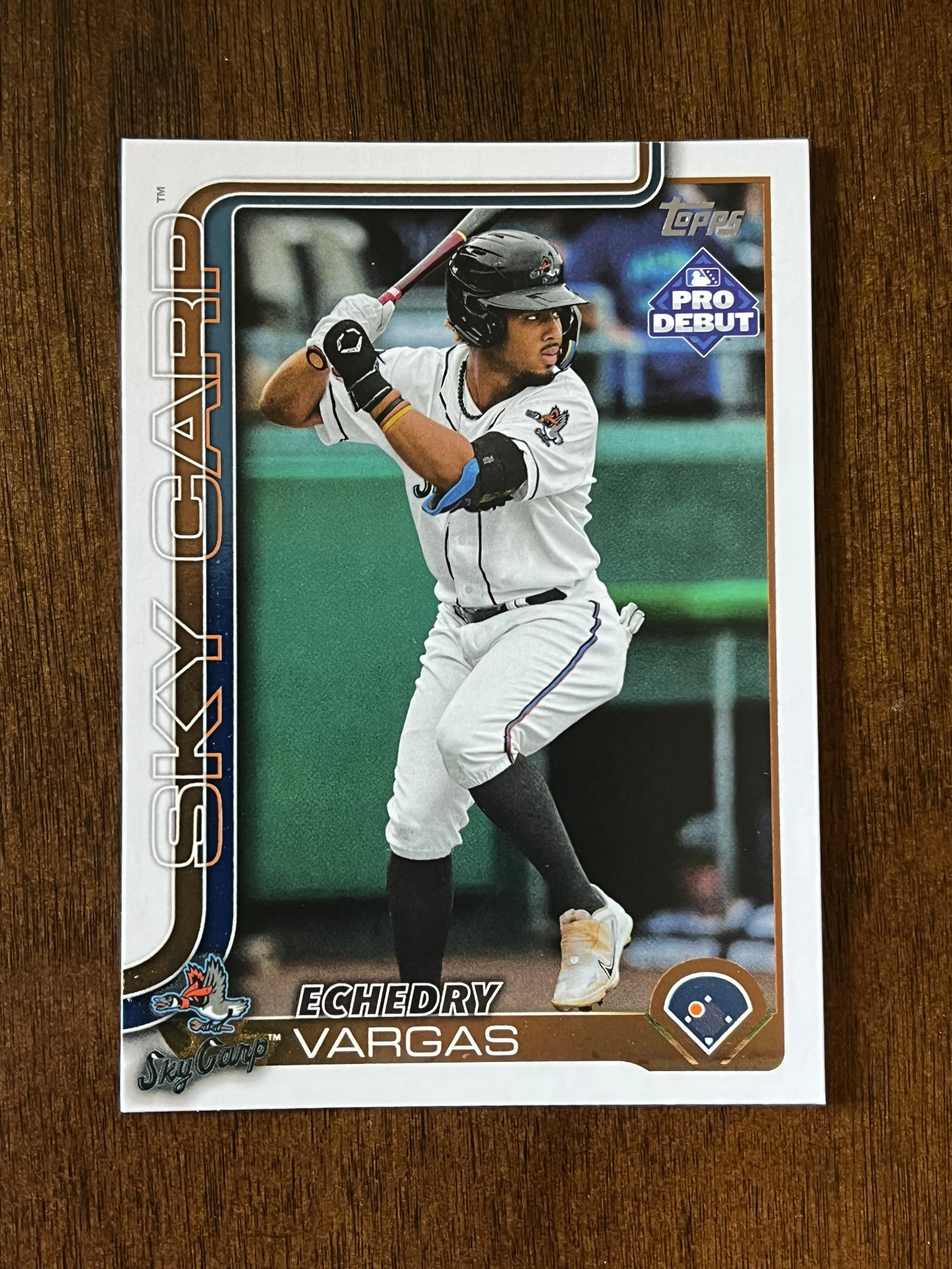 Under the Radar Prospects #3 - Echedry Vargas