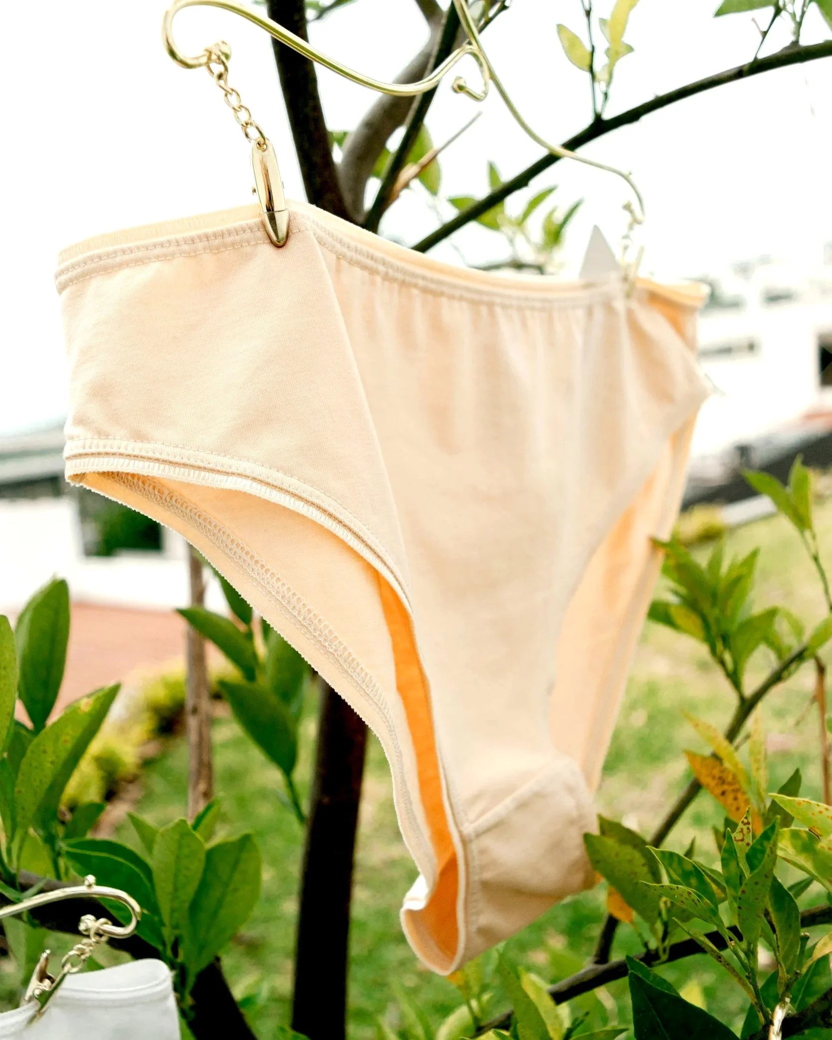 Women's beige cotton underwear hanging from a tree.