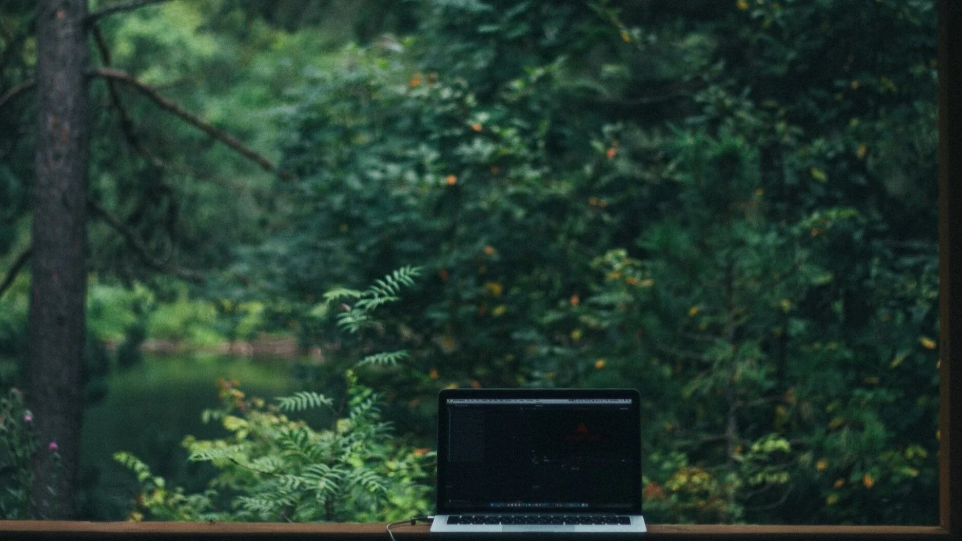 digital assistance, mindful use of technology, online business help