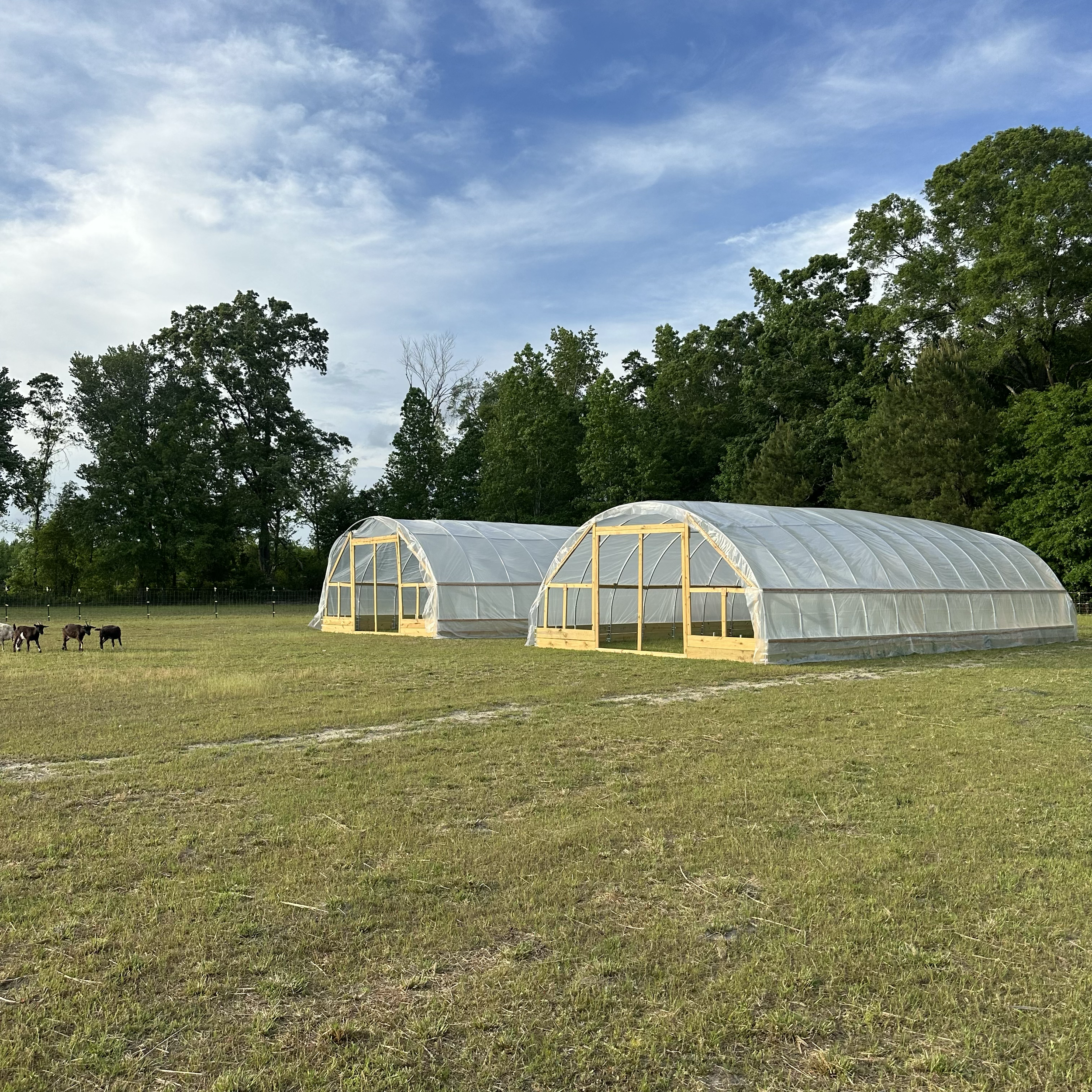 4000 sq. ft. of greenhouse area will provide space for a plant nursery and year-round crop production