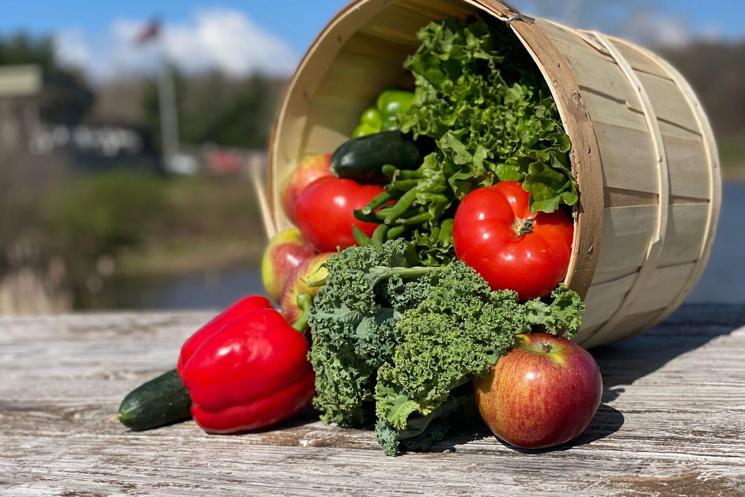 Weekly subscription of fresh organic produce. We will offer a 10 week (Half season) subscription service of farm fresh produce during this growing season