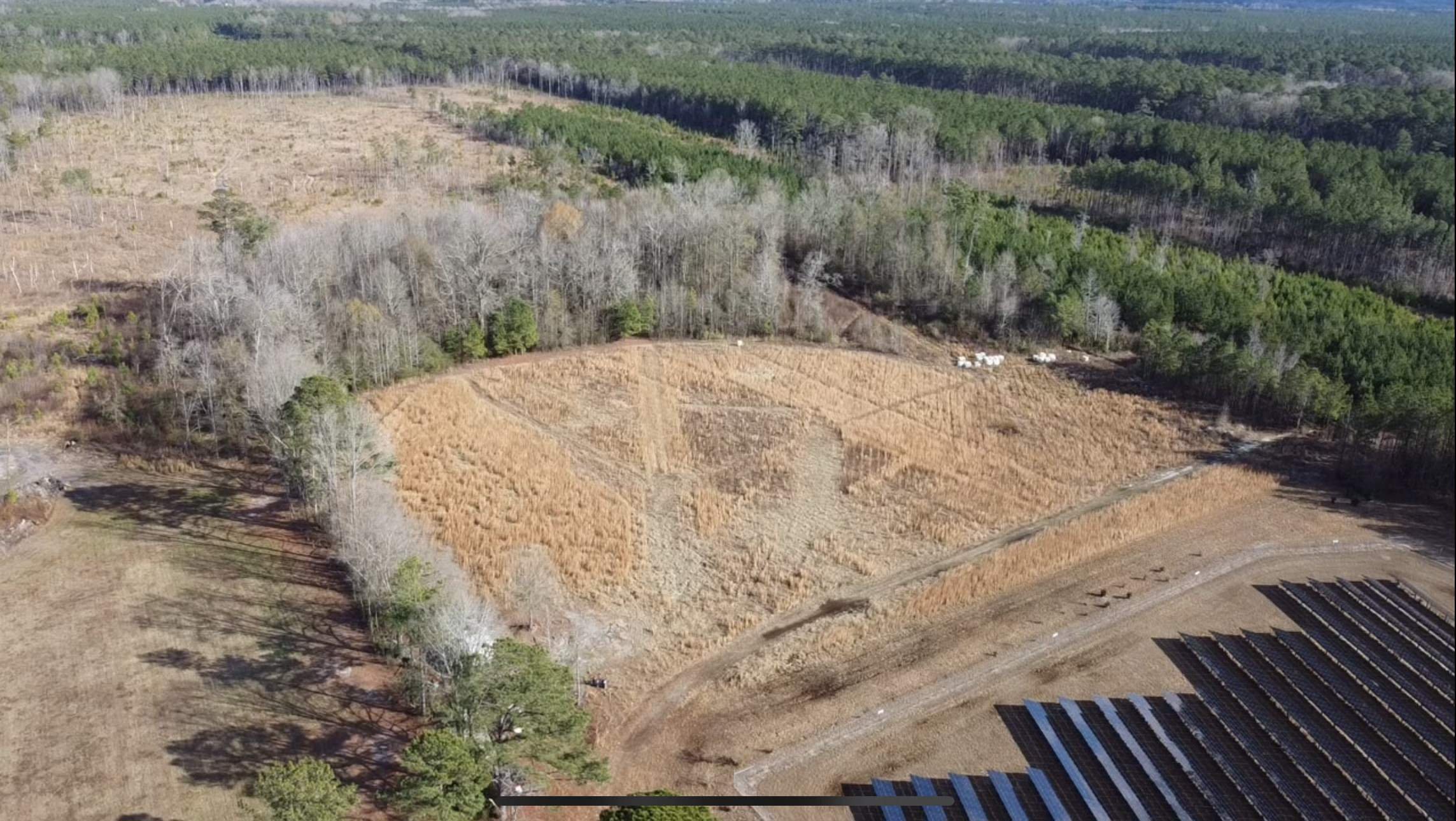 Purchased in 2023 the Earthhouse Farm covers 20 acres in Bunnlevel, North Carolina