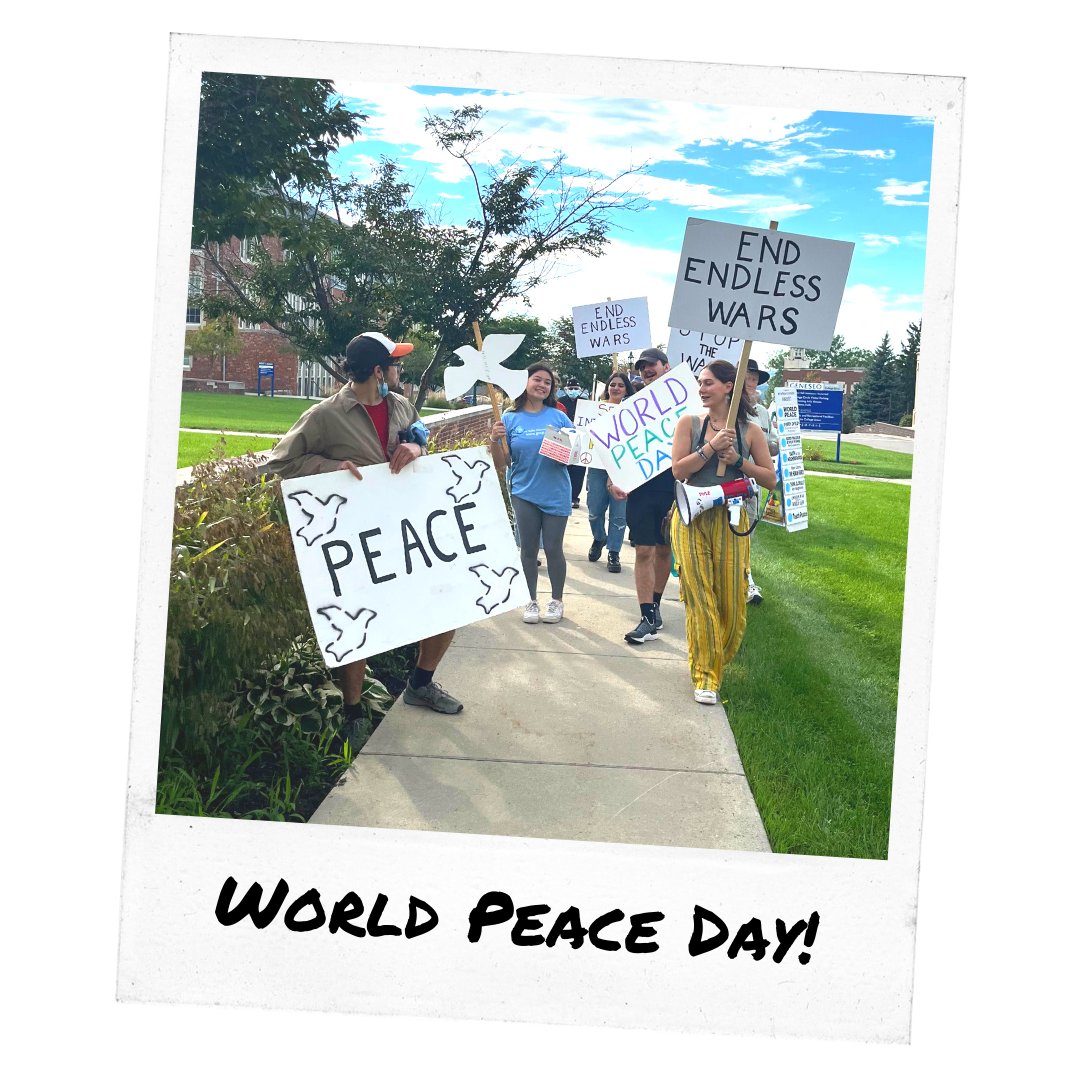 Peace Actions 2022 Organizing Highlights — Peace Action New York State