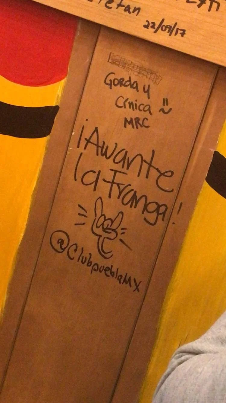 Sobre cómo lo único que siempre necesité fue una Franja. 