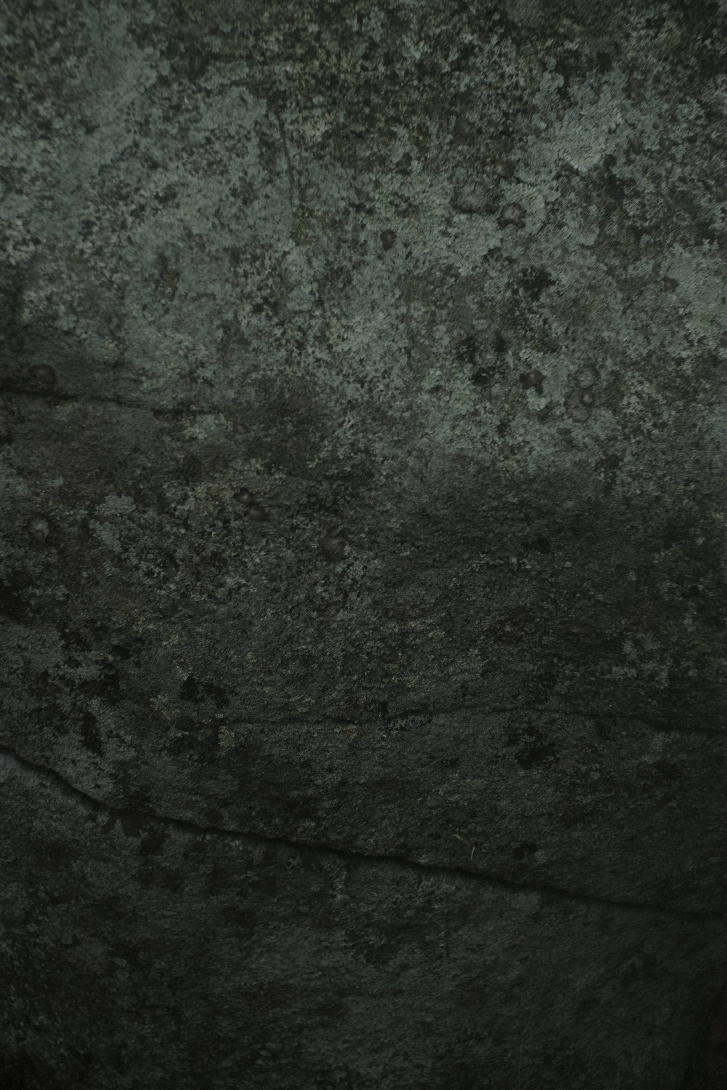 _DSF6322.JPG