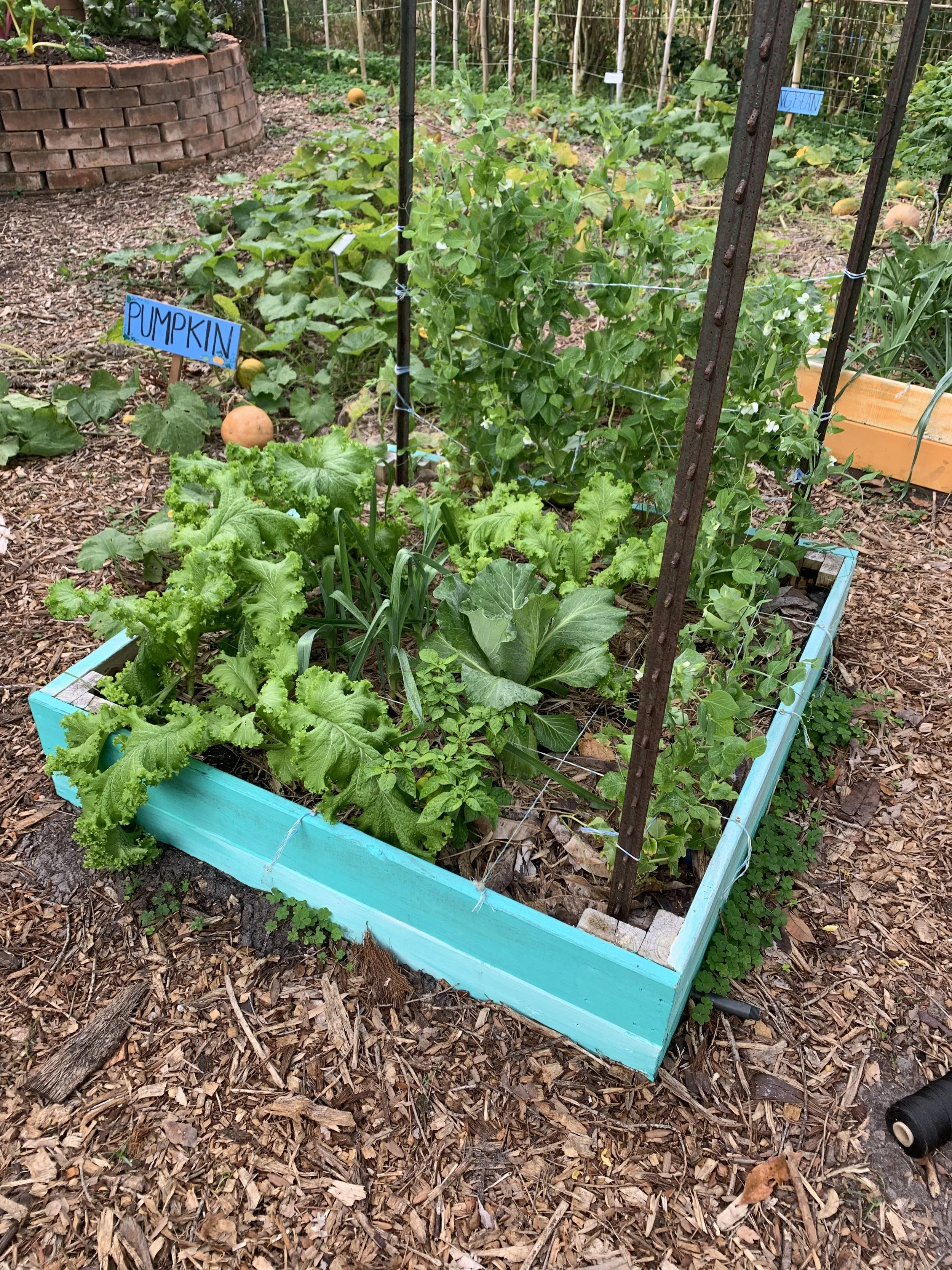 Community Garden Management
