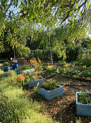 Screenshot 2026-02-26 at 2.59.17 PM.png