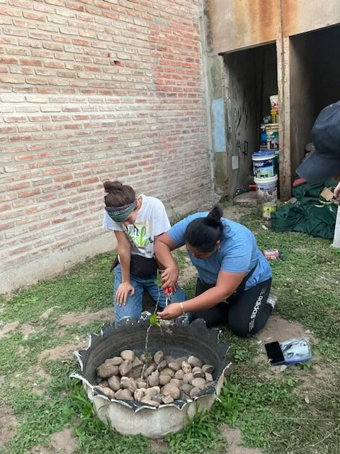 Feedback and Reviews