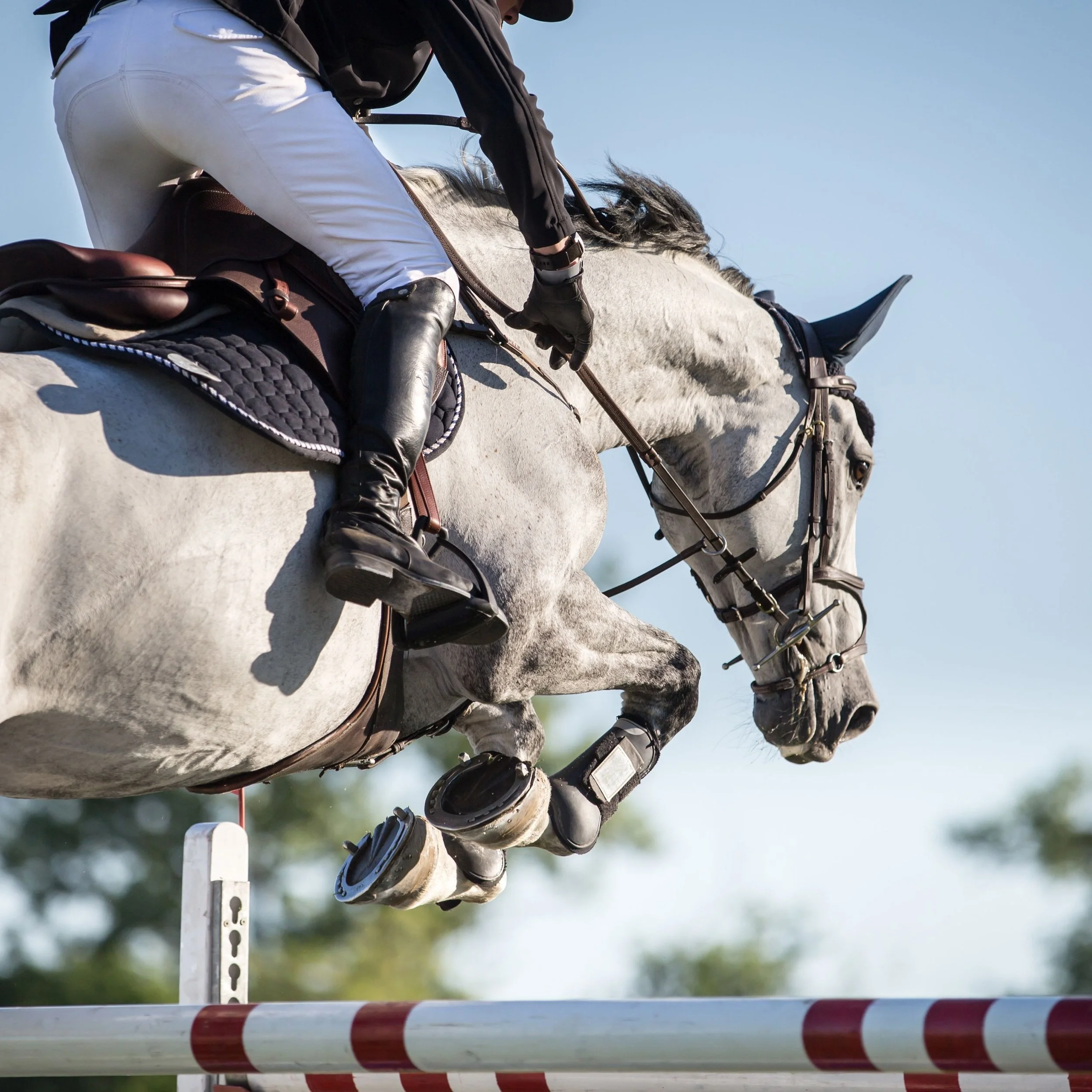 5ea8dbbabff98a05e264db54_GettyImages-676890127-5c36720bc9e77c0001cc70a6.jpg