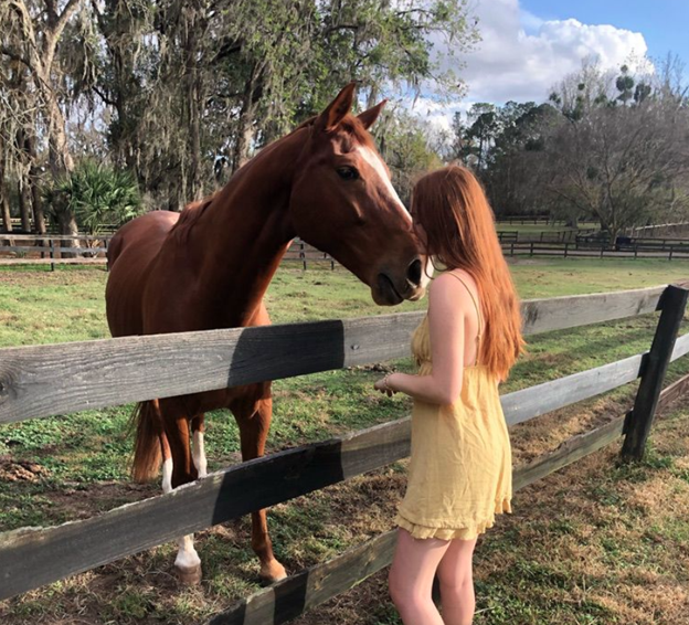 What Services Should You Expect from Top Horse Farms in Ocala, Florida?