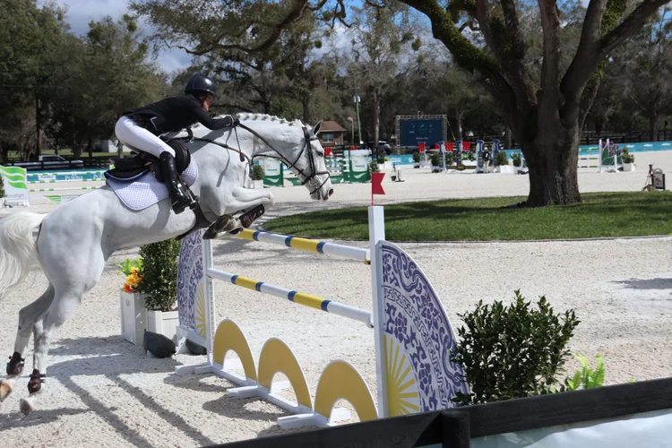 Are Horse Riding Lessons in Ocala Worth It for Adults Starting from Scratch?