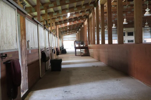 How Can Florida Horse Farms Help Riders Improve Their Equestrian Skills?