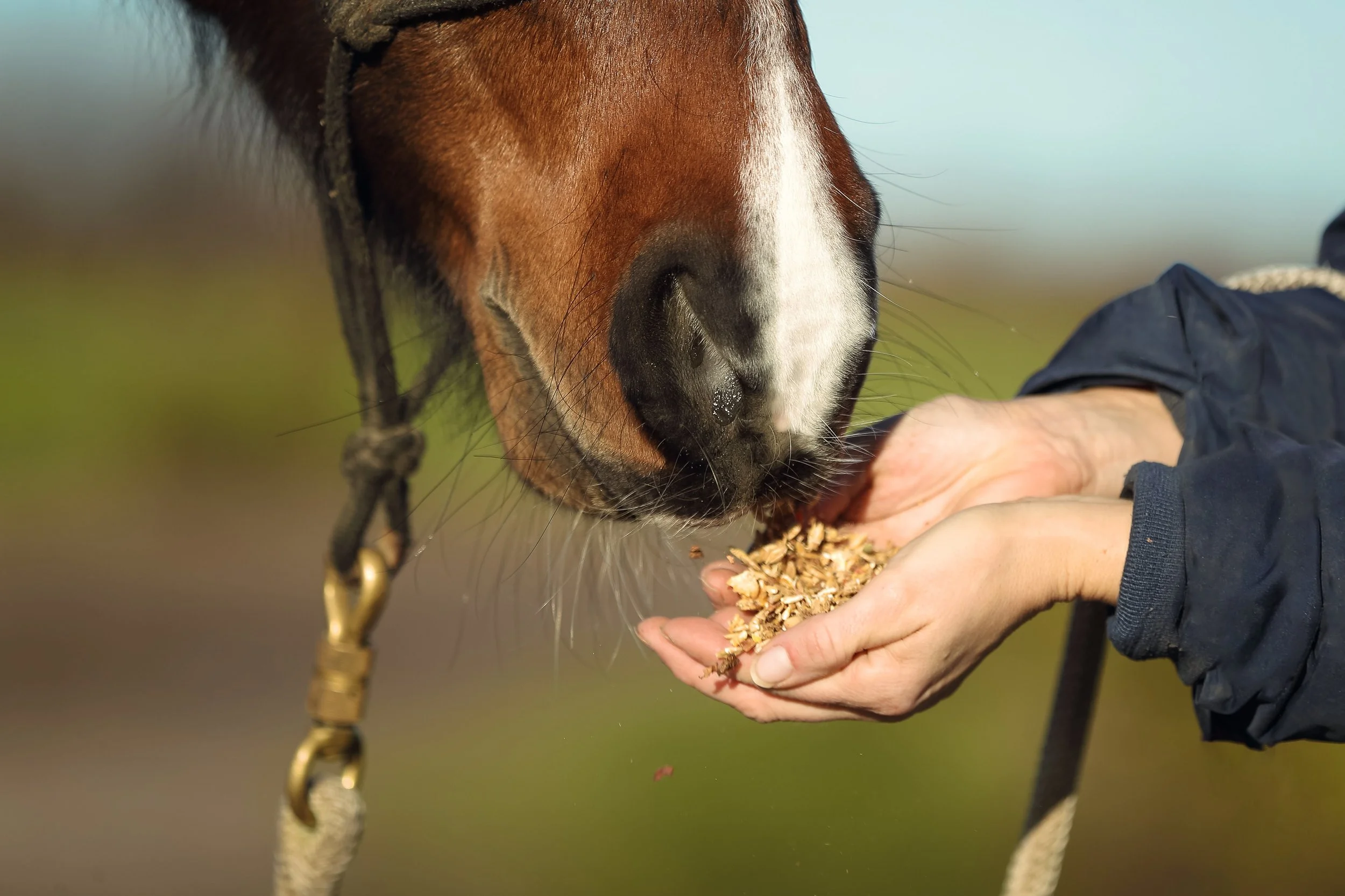 AdobeStock_581567367.jpeg