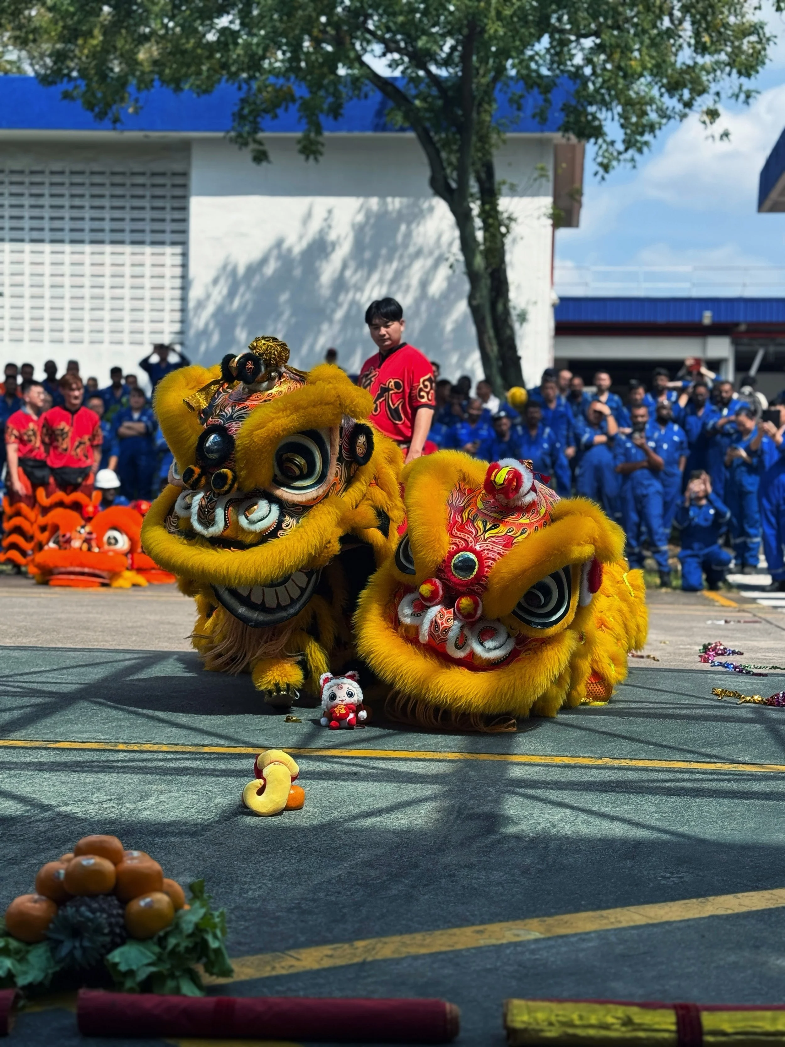 IMG_3482.JPG