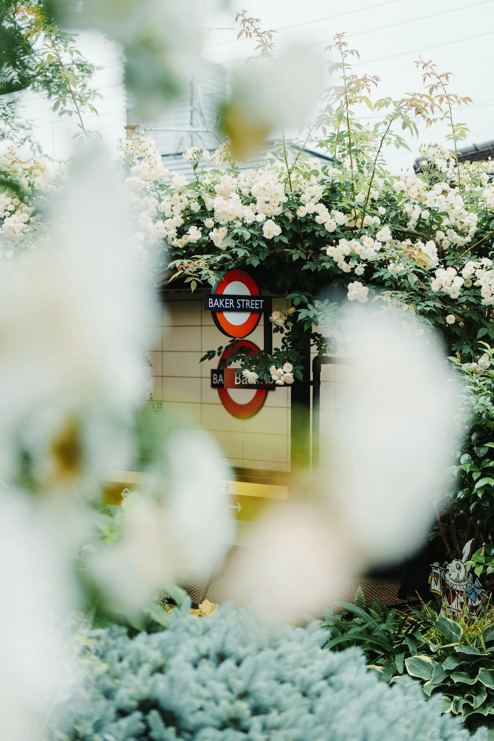 Trend Alert: Organic, Calm, and Balanced Design | Elisabeth Hedge