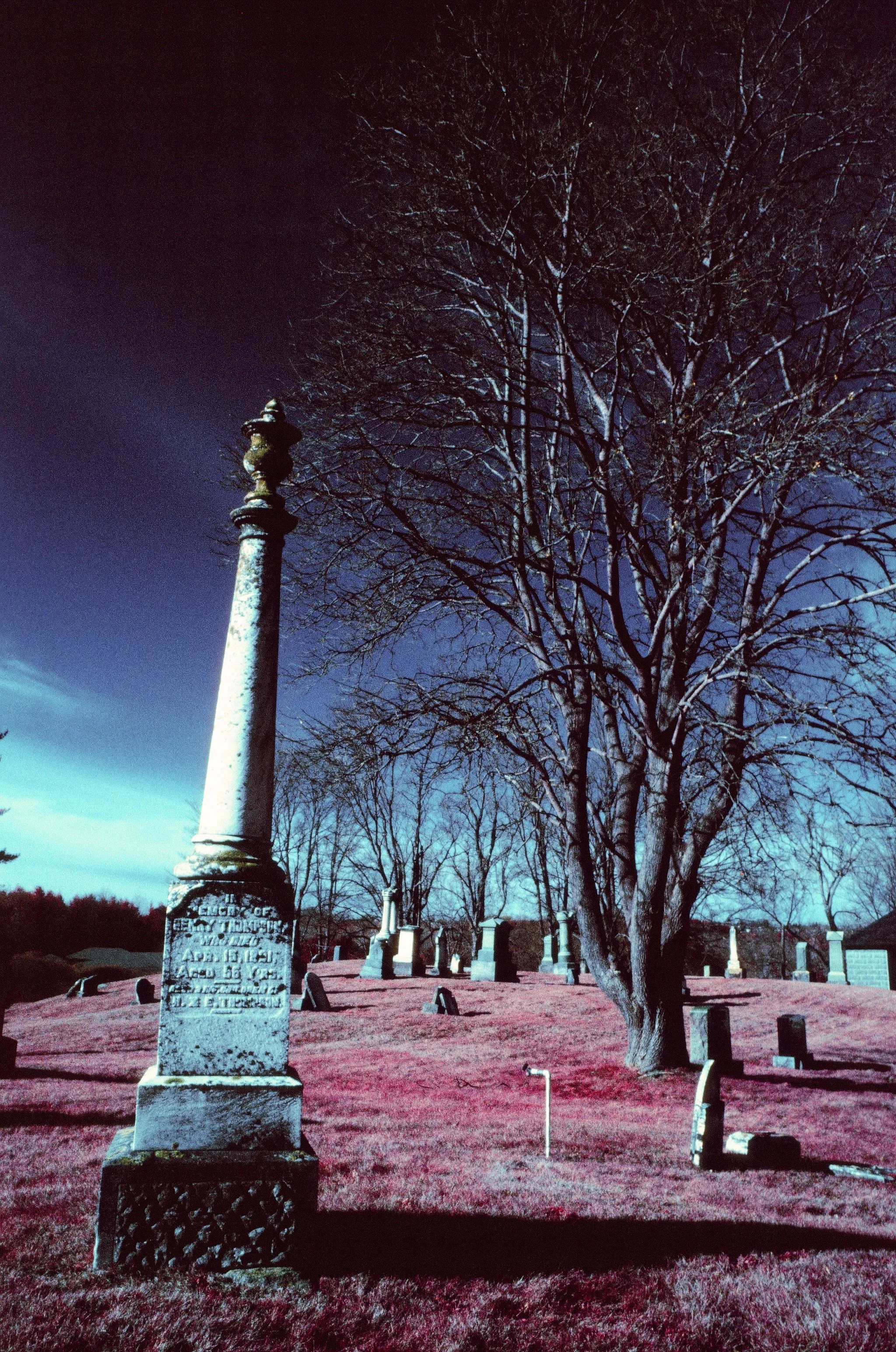 006019720005.jpg