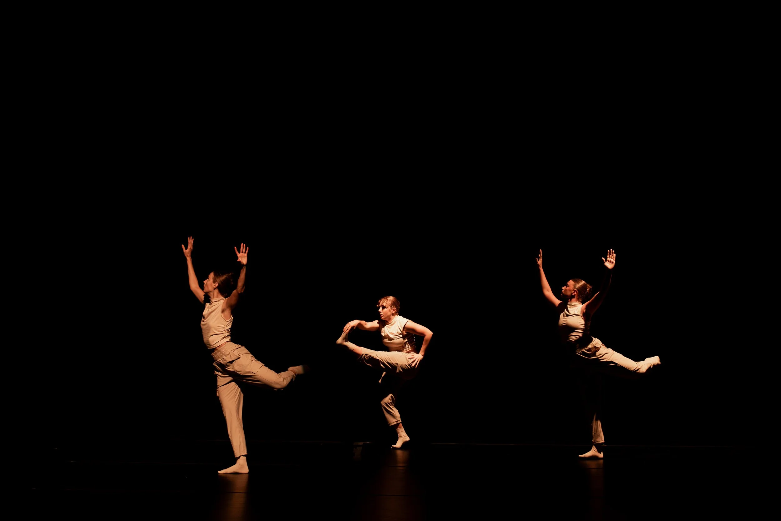 May2025-STLDT-TraineesSpringConcert-CarlyVanderheyden-0N9A9682-Enhanced-NR.jpg