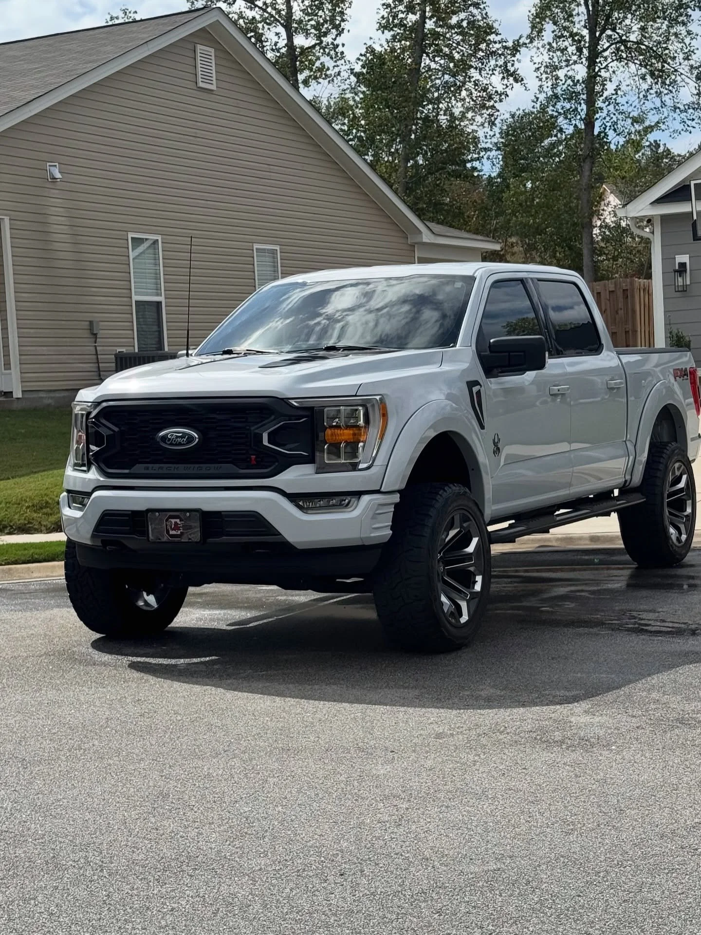 A white Ford pickup truck parked on a suburban street, with houses and trees in the background.