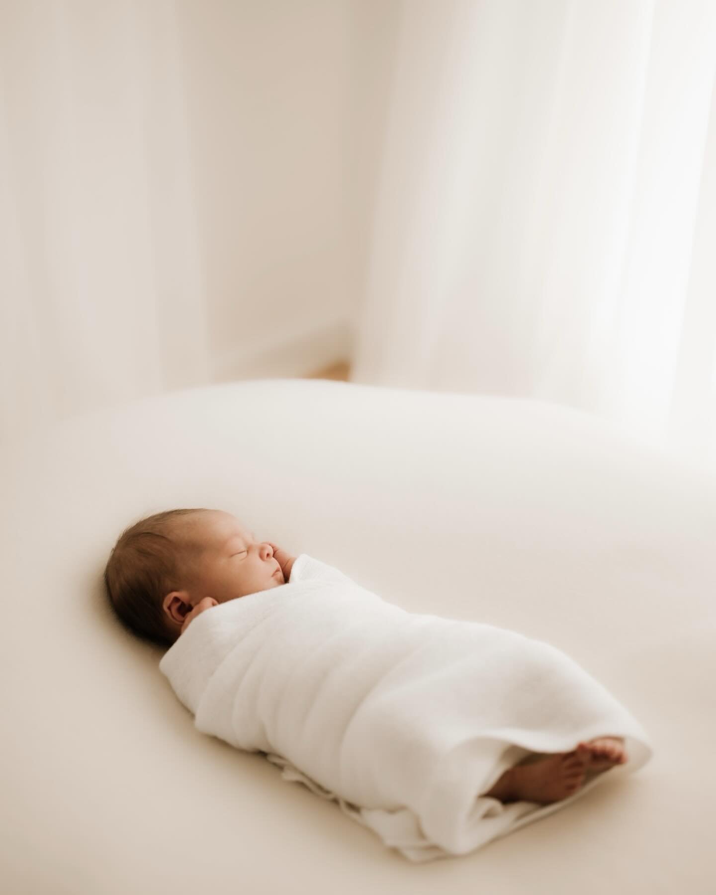 The dreamiest newborn baby girl, Lillian ☁️
In the studio, at 6 days earthside. After arriving 2 weeks early. Gosh I love capturing newborn babies.

Did your babies arrive early, on time or late?!

Ps~ it&rsquo;s the last photo for me 🥹

#jessverhey