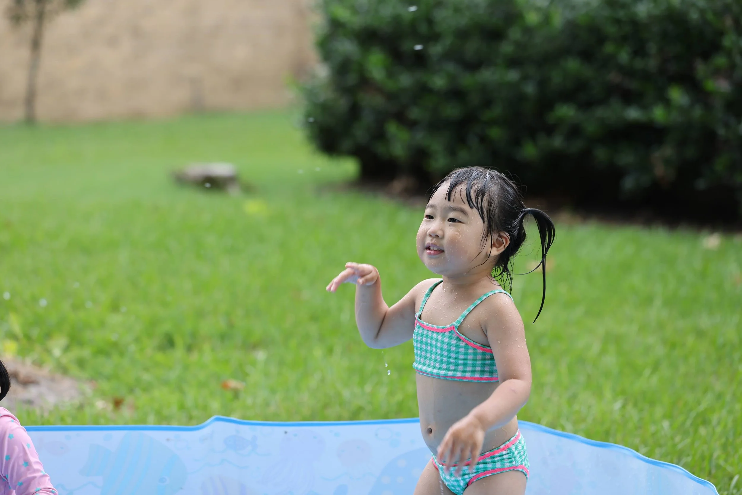 D87A0002.JPG