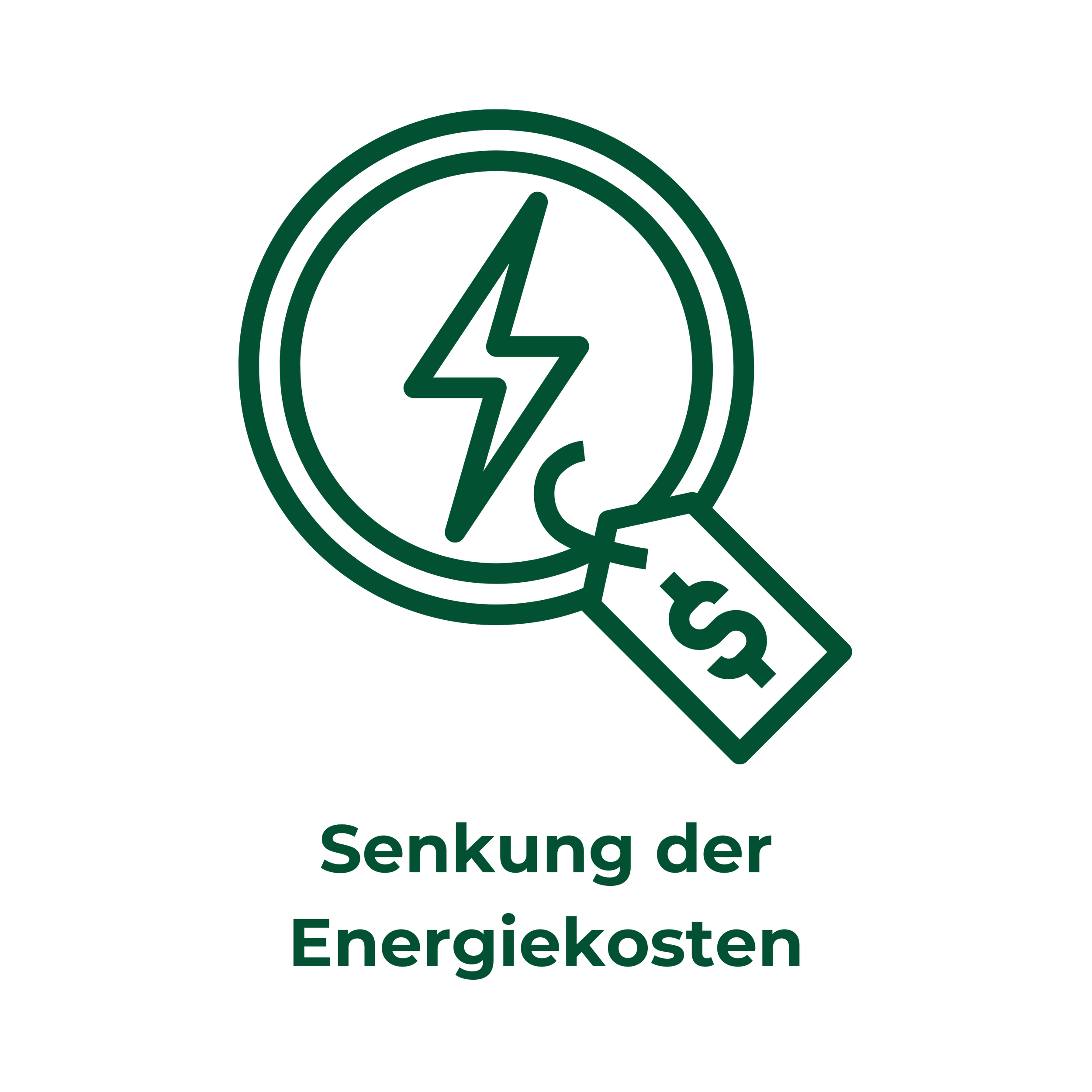 Symbol mit einem Blitz und einem Preisschild zur Verdeutlichung, dass durch eine förderfähige Energieberatung und Sanierung  Energiekosten gespart werden können.