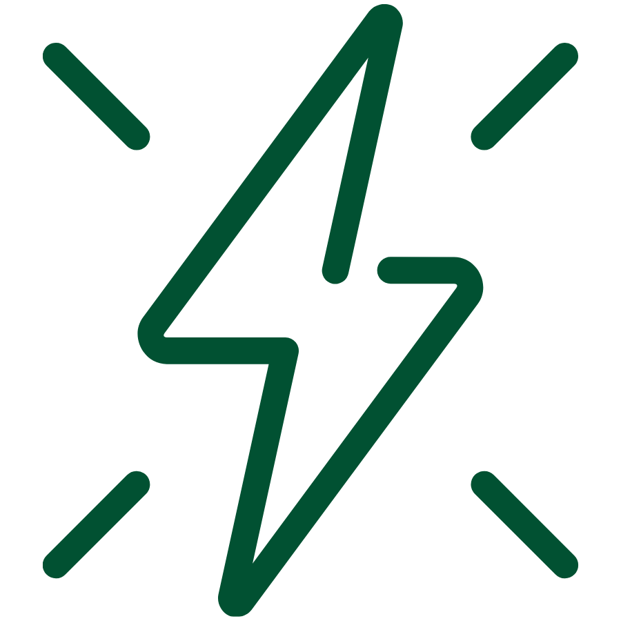Grünes Symbol mit Blitz und Häkchen neben dem Hinweis auf hohe Servicequalität. Es steht für schnelle Reaktionszeiten, zuverlässige Bearbeitung und termingerechte Ergebnisse.