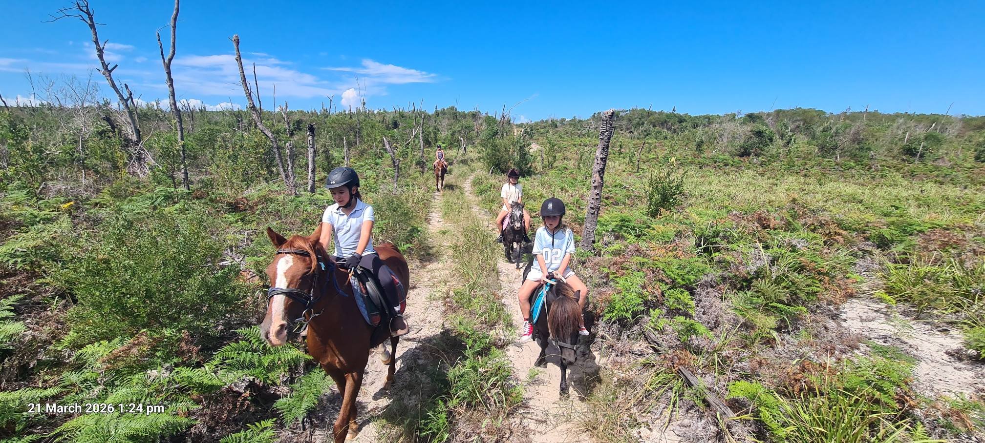 horse riding in the bush
