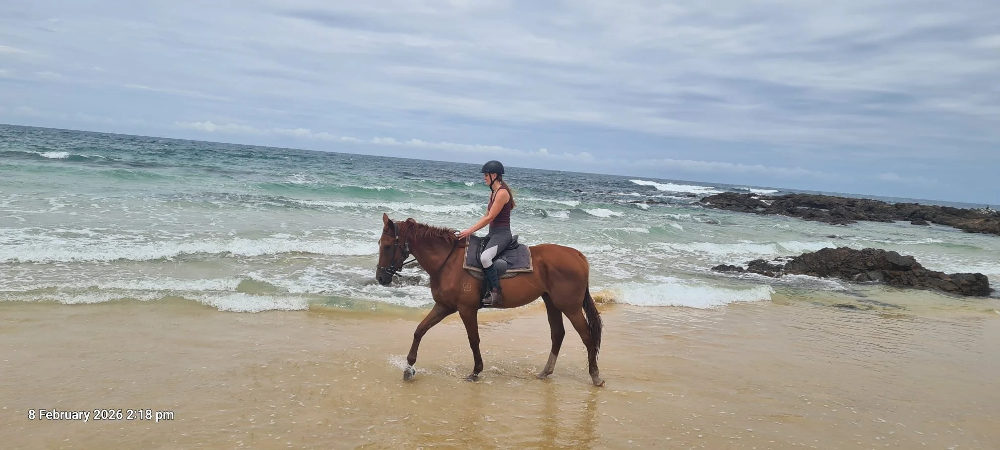 horse ride on the beach