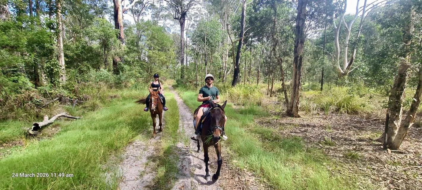 bush ride