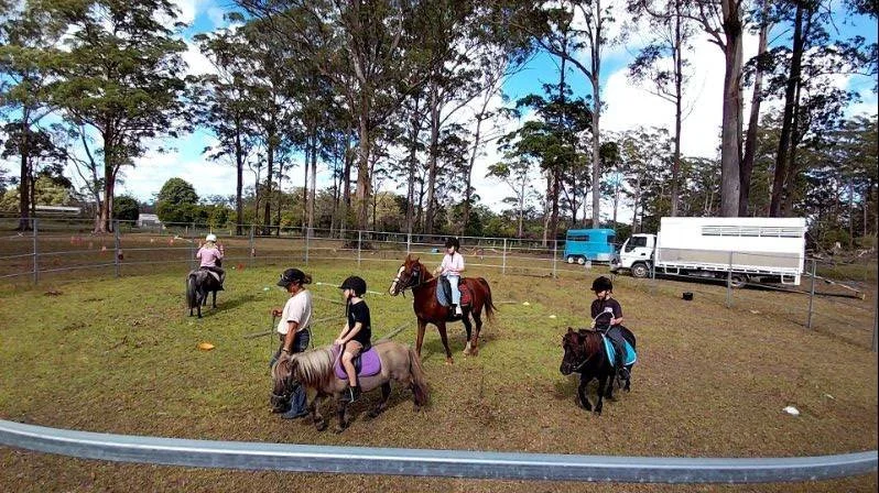 pony ride in the round yard