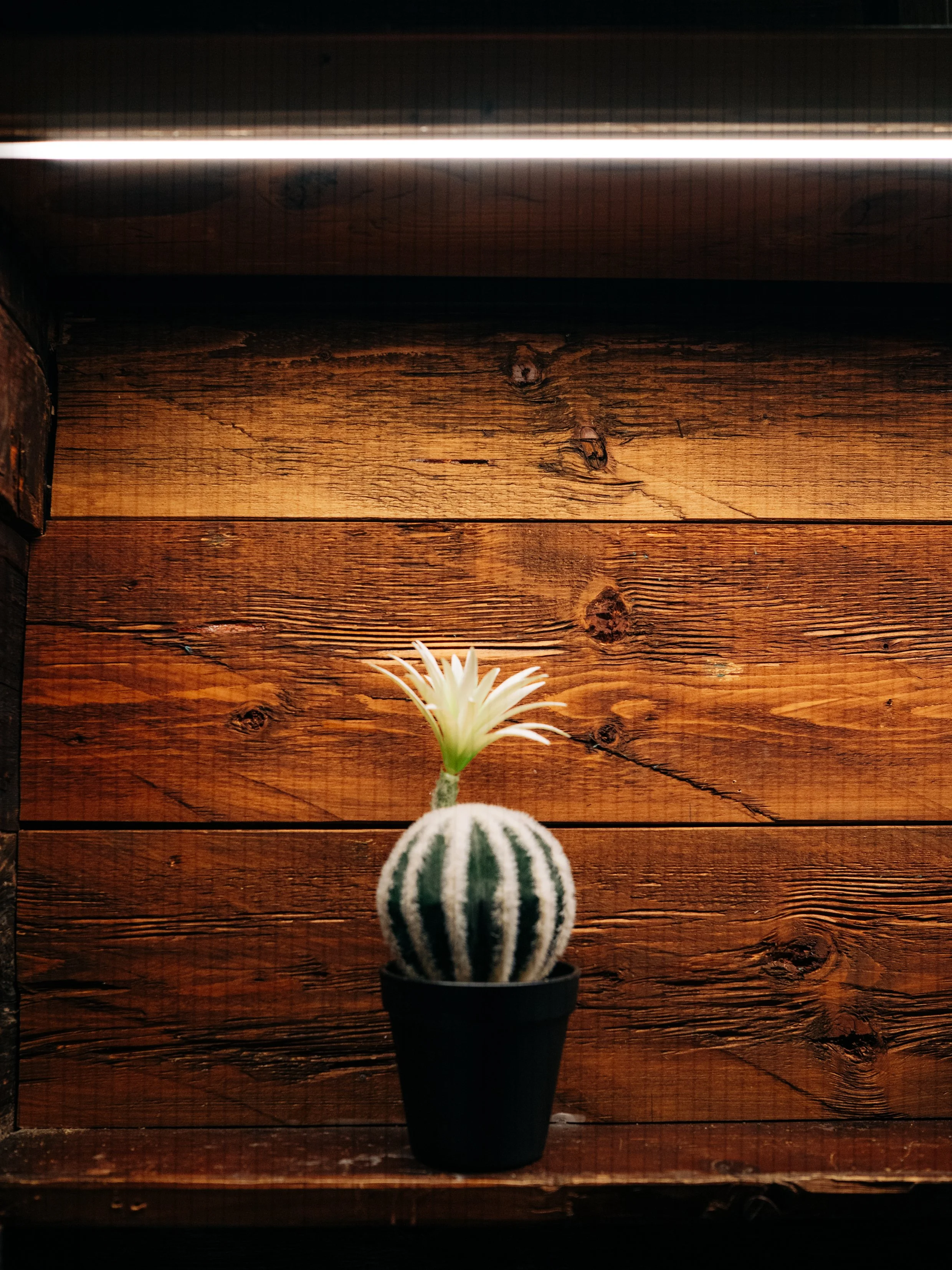 Unico- by Alte Taverne-66.jpg